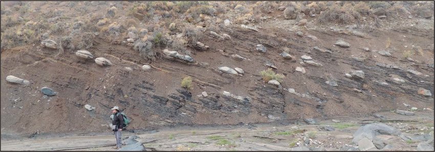 Carbonate concretions in Vaca Muerta — partially cemented levels that control the nucleation and propagation of hydraulic fractures