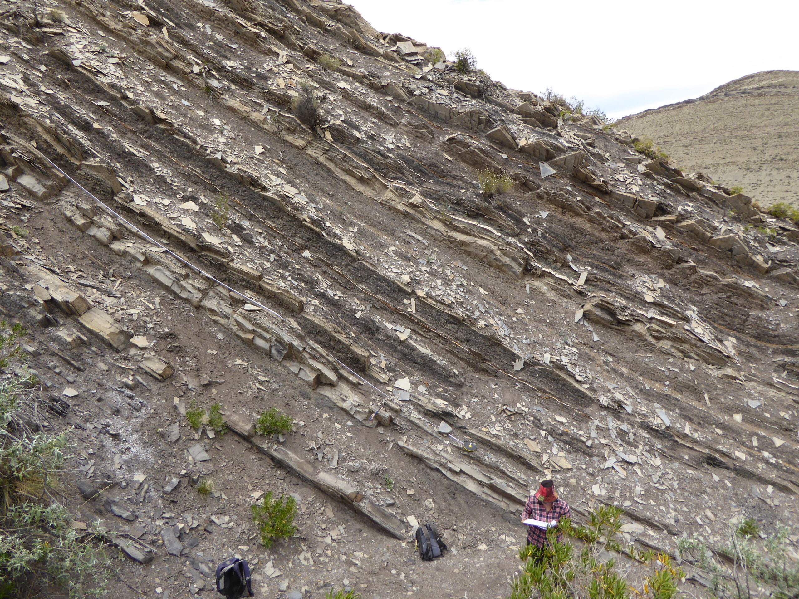 Fold outcrop in Mesozoic rocks of the Neuquén Basin