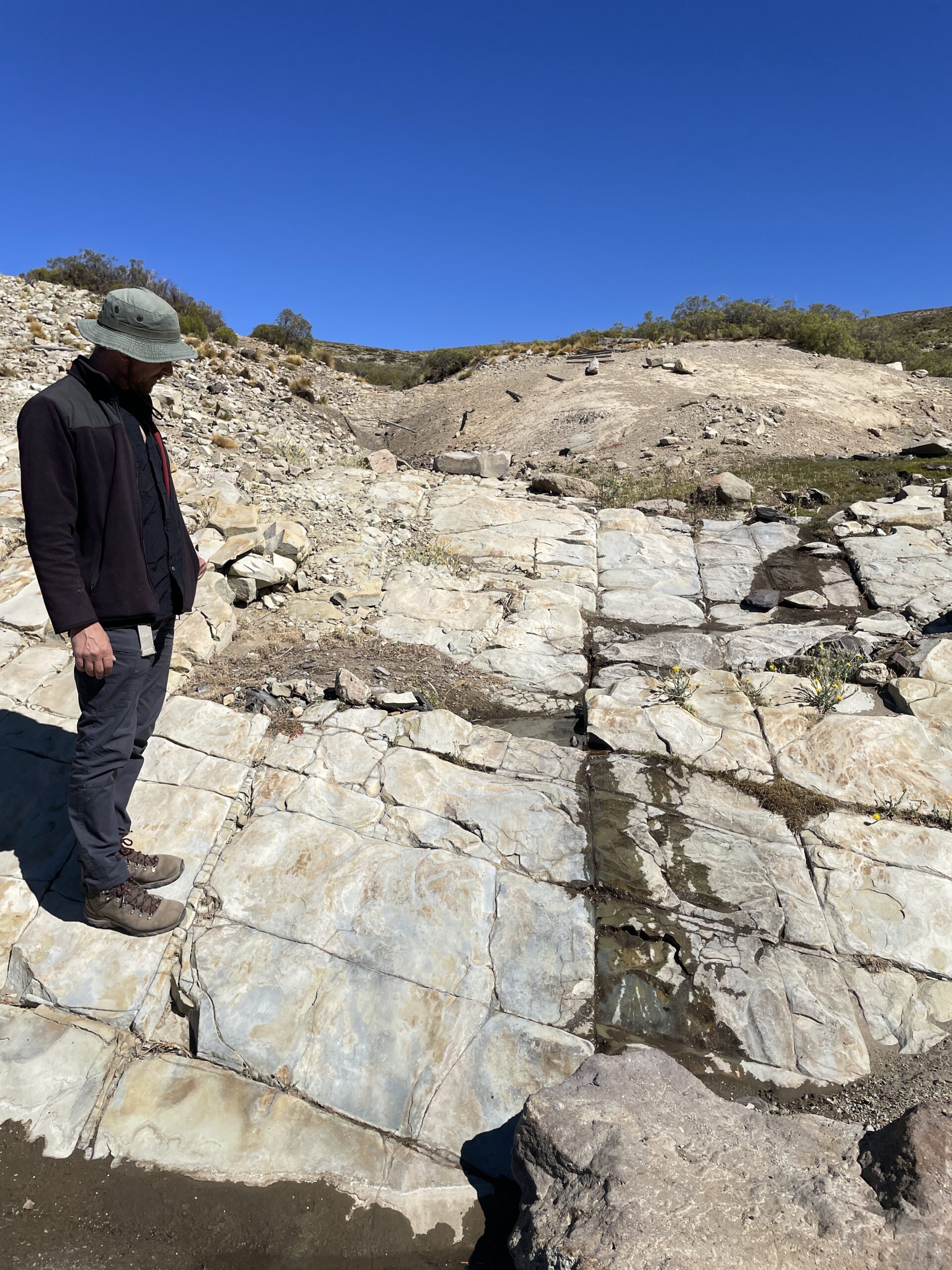 Sub-parallel extension fractures in Vaca Muerta Formation outcrop
