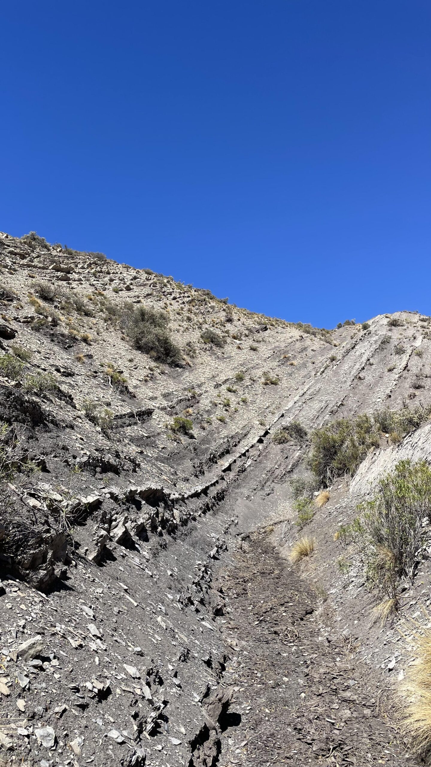 Horizontal well placement exercise on stress map