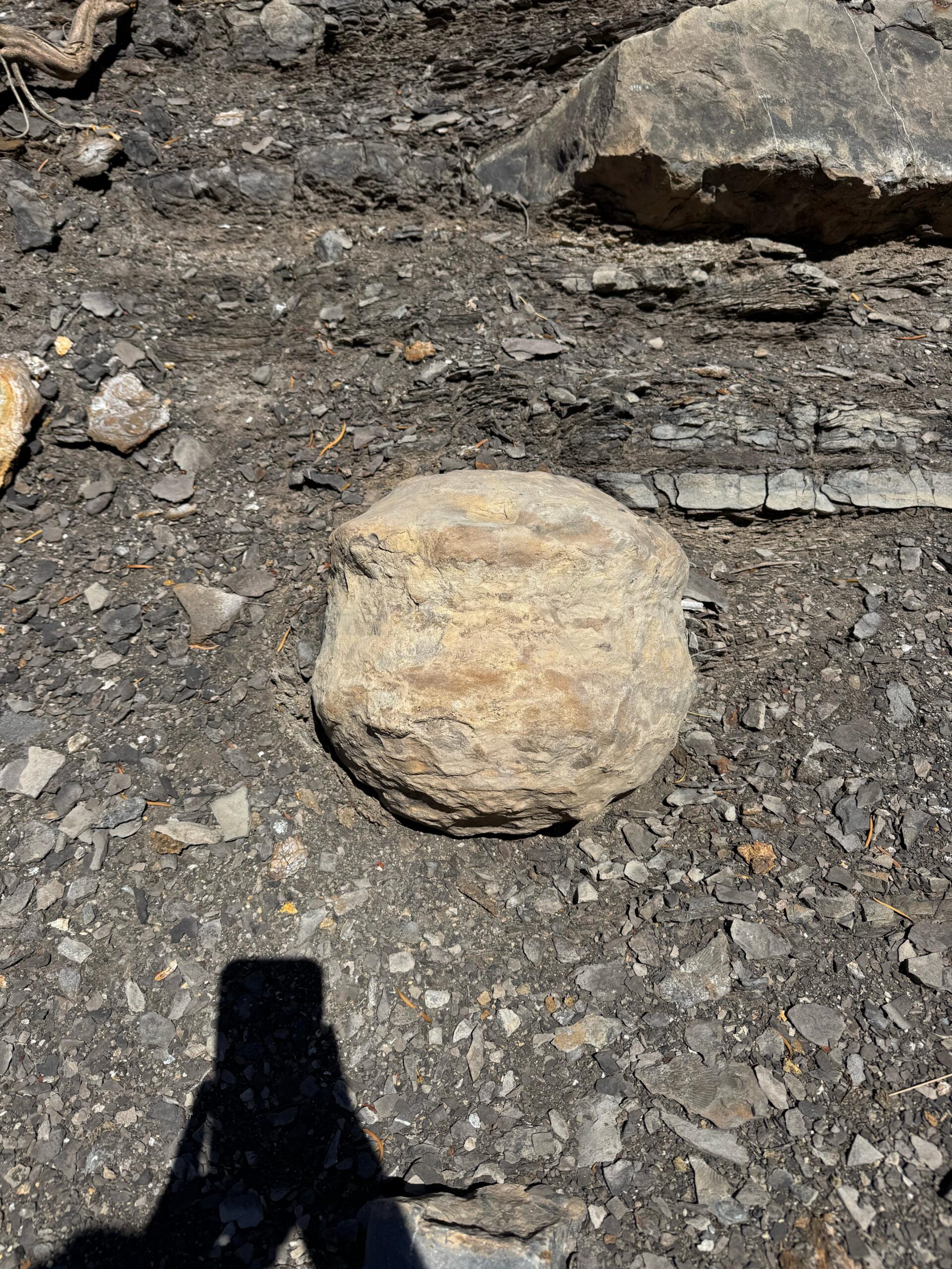 Discussion on induced seismicity cases in hydraulic fracturing projects