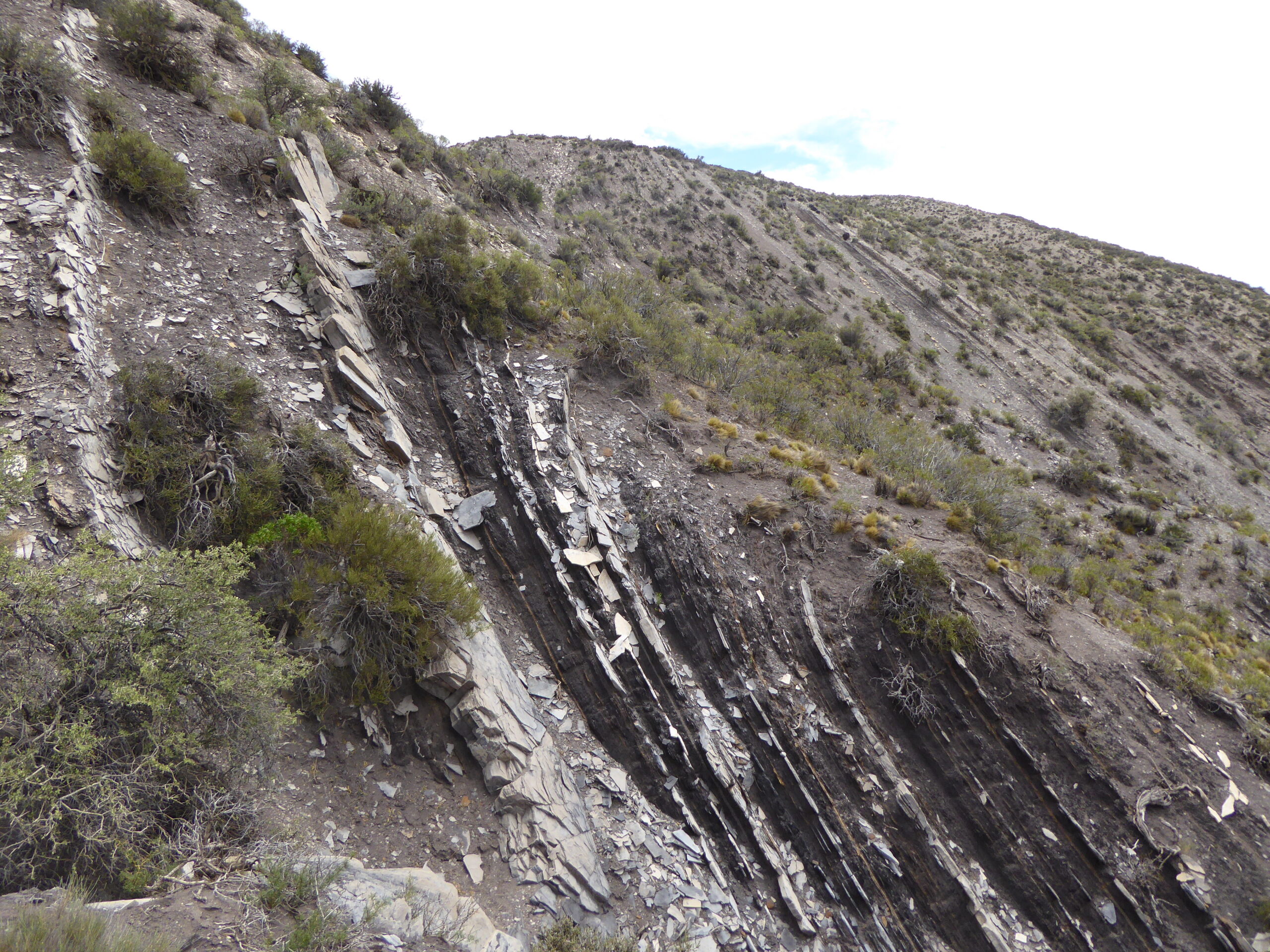 Full group of the Structural Geology and Rock Mechanics course — Synergies 2025