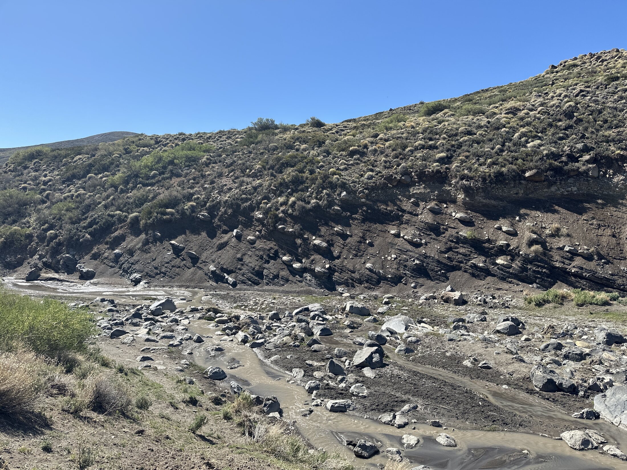 Afloramientos y paisaje de la Cuenca Neuquina bajo un cielo despejado